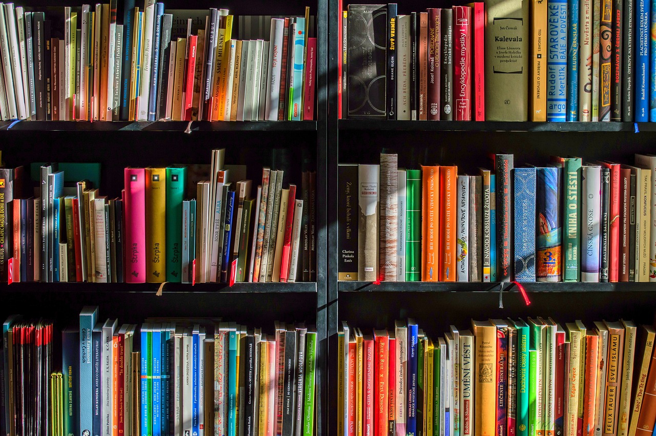 books-bookstore-book-1204029 books, bookstore, book-1204029.jpg